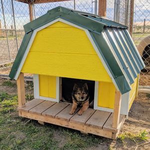 Meet your Posher, Michele